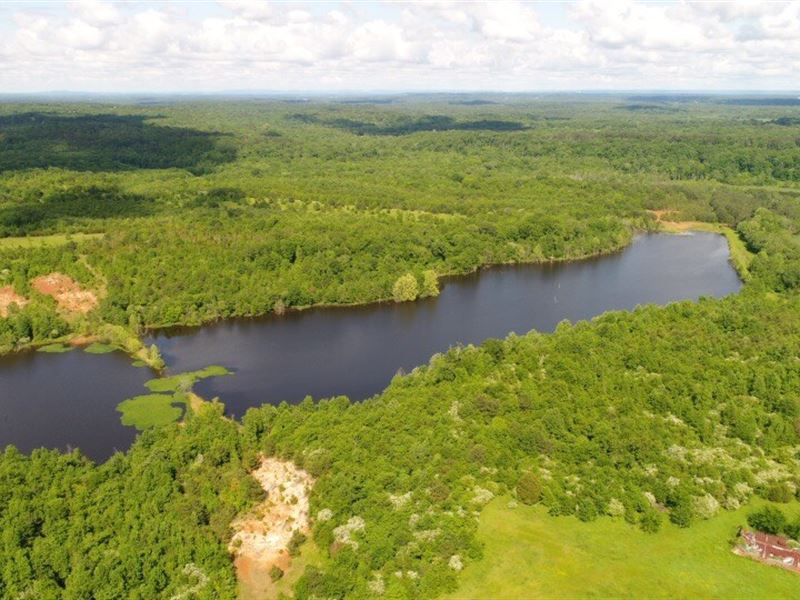 569.4 AC Timberland, Lake Farm for Sale in Danville, County