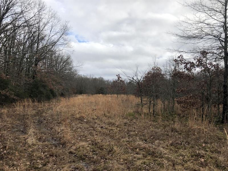 Old Military Road Tract : Colt : Saint Francis County : Arkansas