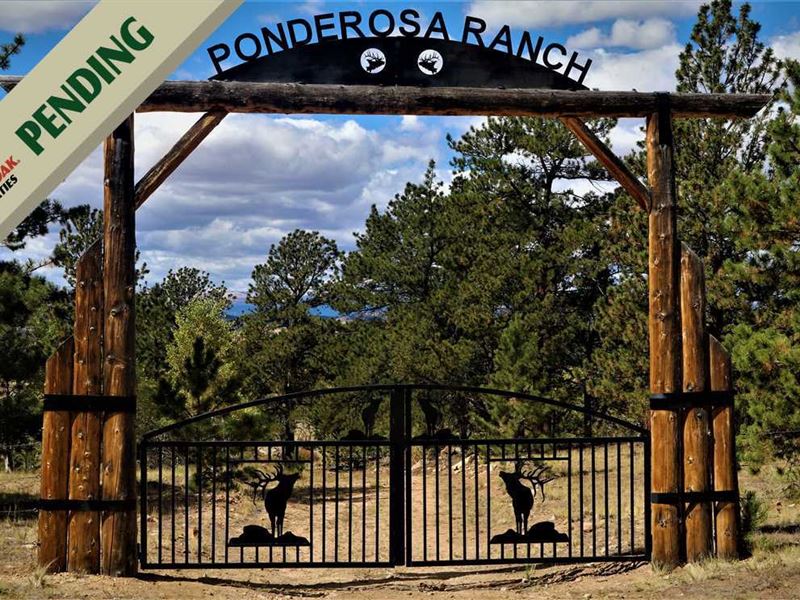 Ponderosa Ranch Farm for Sale in Hartsel, Park County, Colorado