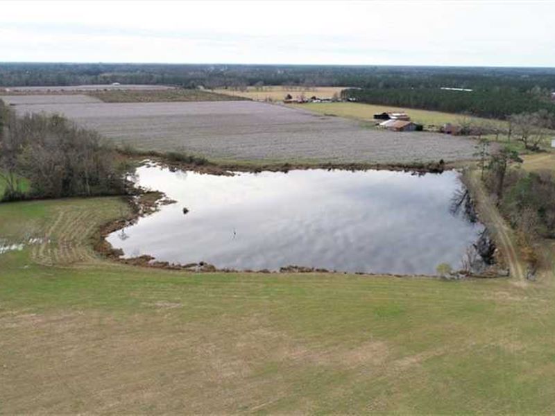 300 Acre Working Farm for Sale in : Hoboken : Brantley County : Georgia