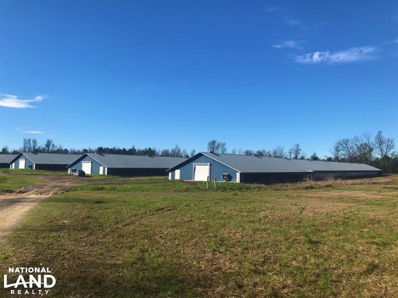 Williston Poultry Farm, Farm for Sale in South Carolina, 185757 FARMFLIP