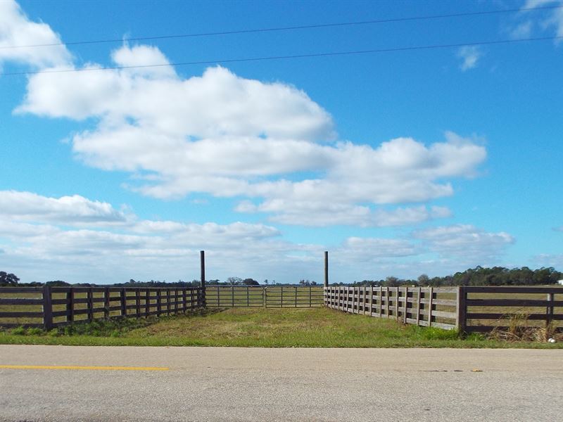 homes for sale in fort meade fl