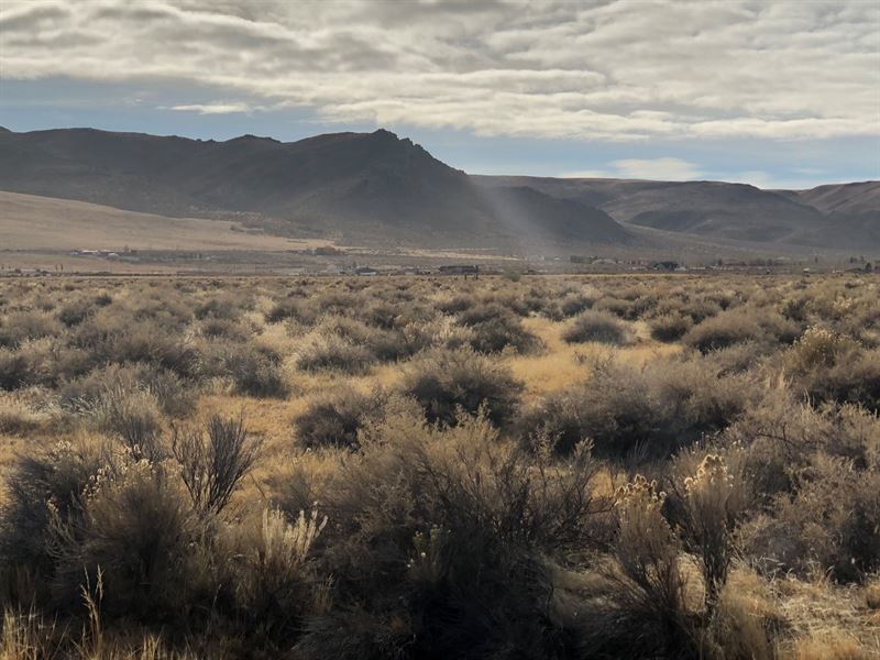 37+ Acres Ranch Land Western Nevada : Reno : Washoe County : Nevada