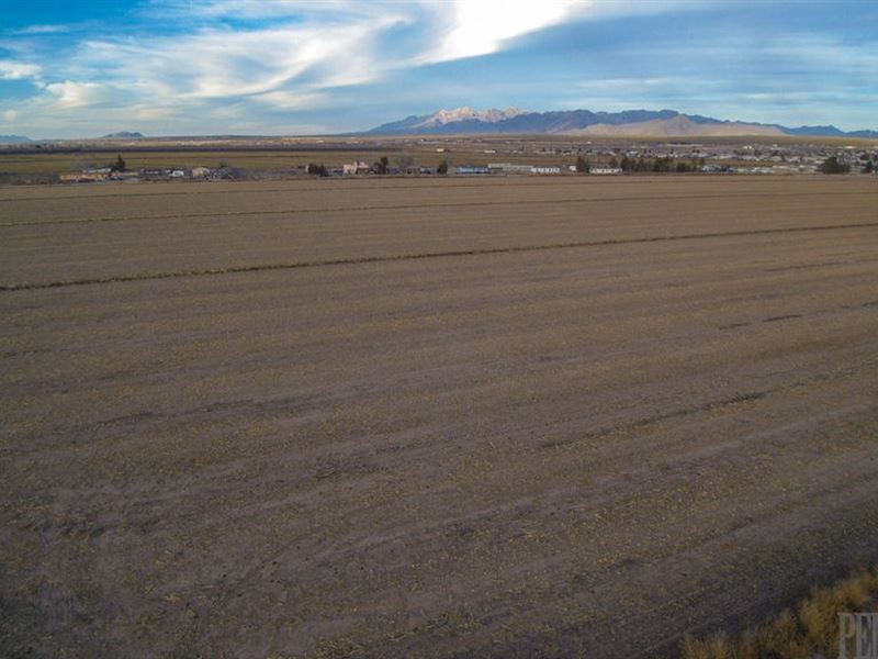 Irrigated Farmland Surface : Vado : Dona Ana County : New Mexico