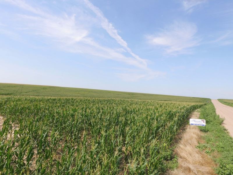 Wallace Farms Auction Parcel 2, Farm Auction in Nebraska, 186211 FARMFLIP
