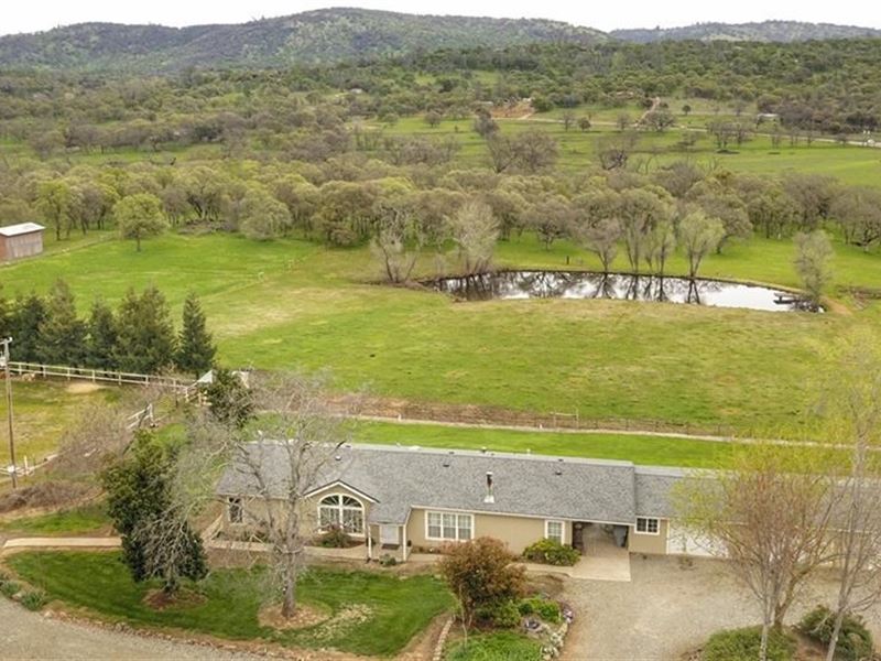 Loma Rica, Ca, Turn Key Horse Ranch : Loma Rica : Yuba County : California