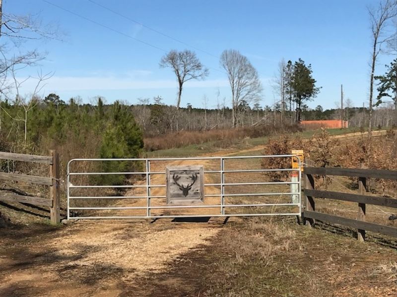 250 Acres Wilkinson County, Ms, Tur : Gloster : Wilkinson County : Mississippi
