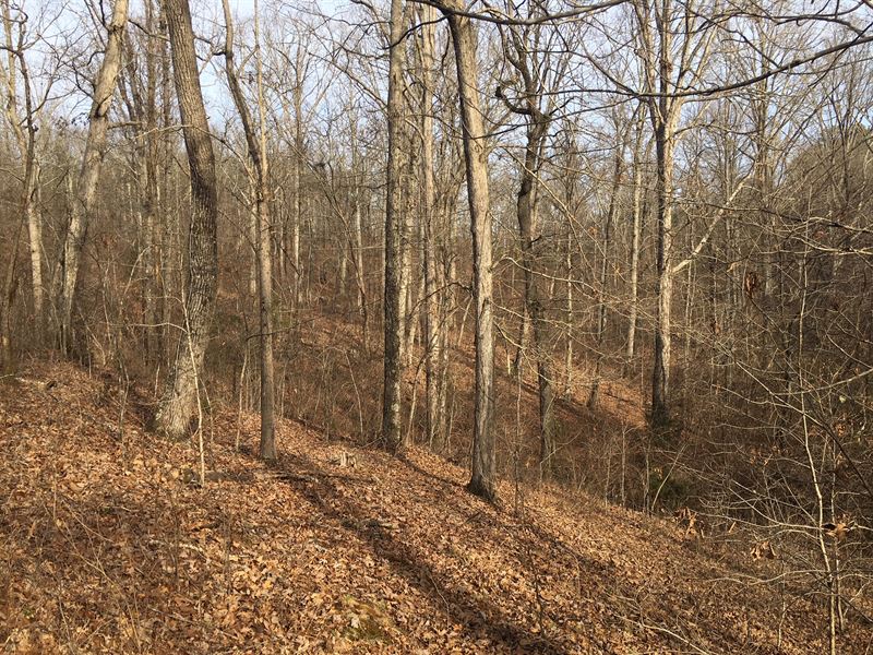 Small Tract in Cave Spring, Ga, Farm for Sale in 186723