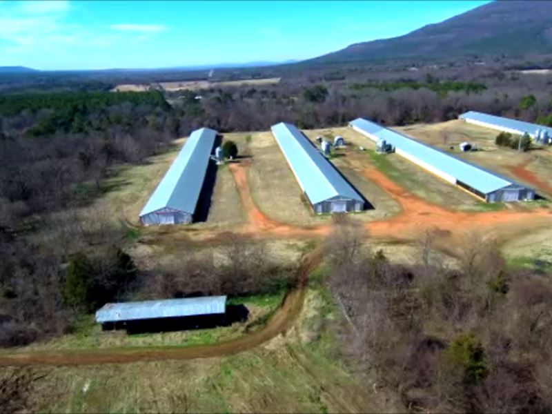 Broiler Farm, 4 Houses, 70 Acres Farm for Sale in Hartford, Sebastian