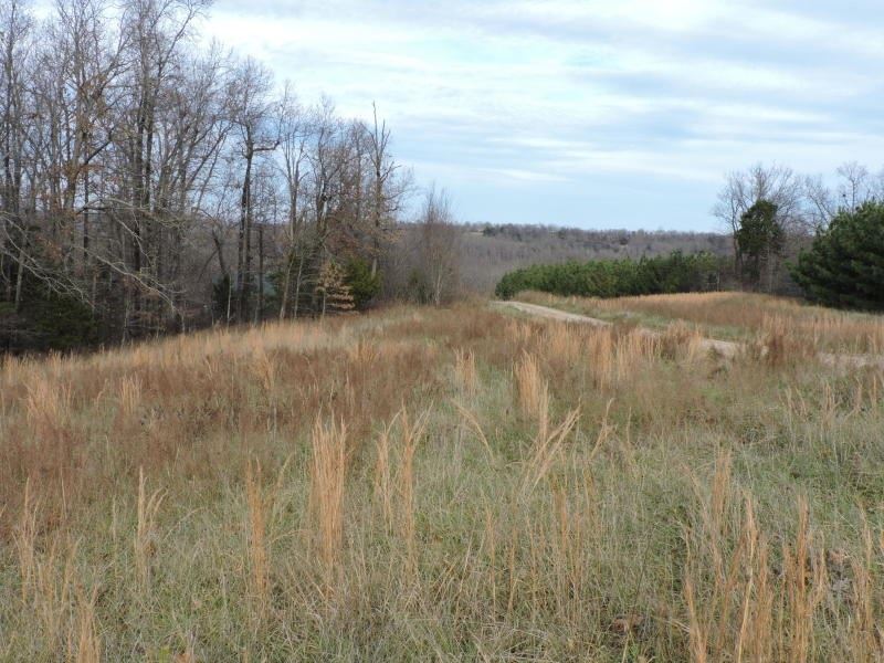 Building Sites Located Buffalo : Compton : Newton County : Arkansas