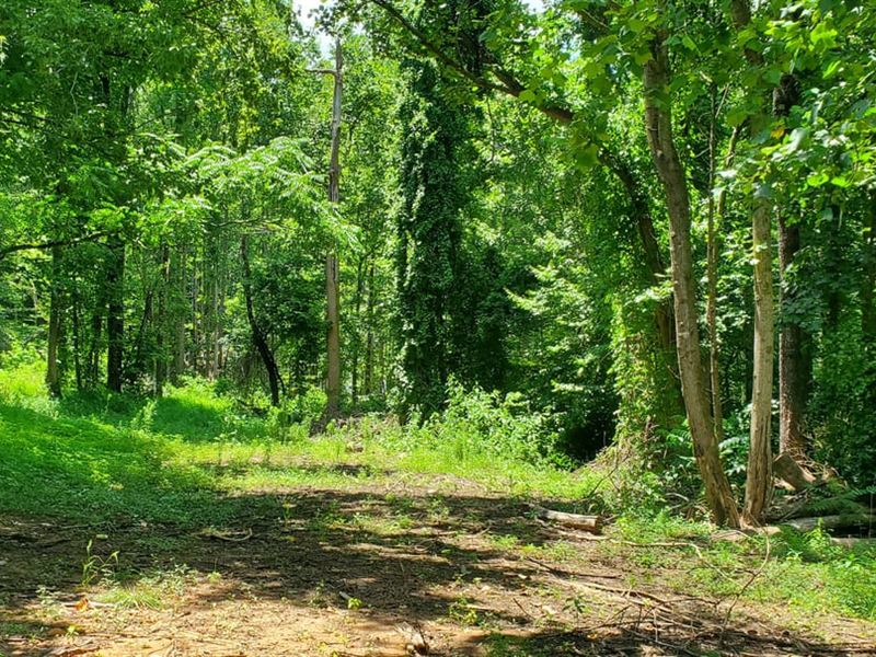 30 Acres Mathis Mill Rd, Roarin, Farm for Sale in North Carolina, 186837 FARMFLIP