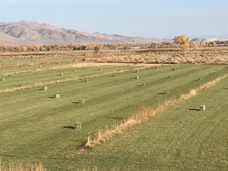 Home Horse Ranch/Farm Water Rights, Farm for Sale in Nevada, 186869