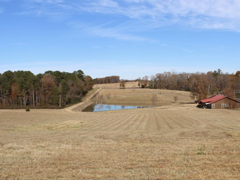 Beautiful 19 Acre Minifarm & Home Farm for Sale in Pell City, Saint