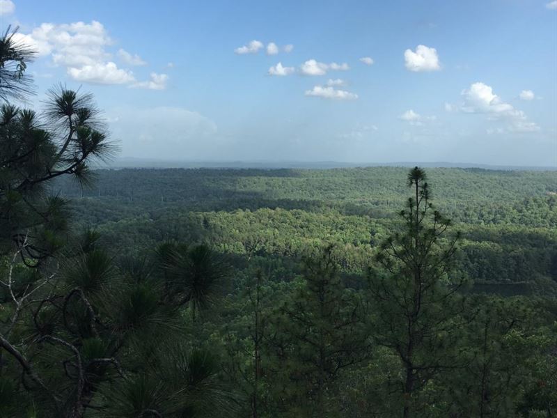 Double Oak Mountain Home Sites Trac, Farm for Sale in Alabama, 186923