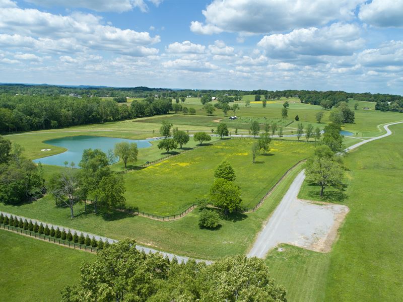 295 Gorgeous Acres : Lebanon : Wilson County : Tennessee