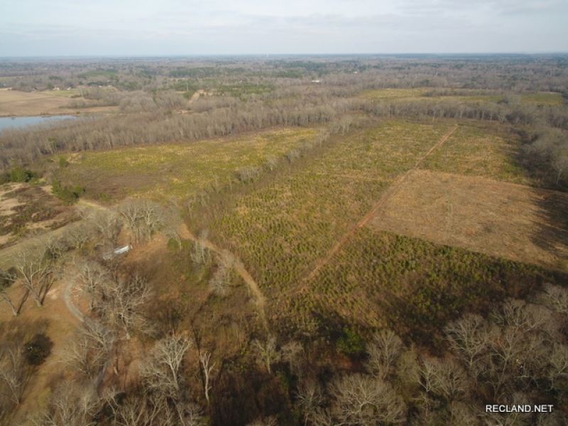 186 Ac, Timberland & Hunting, Farm for Sale in Louisiana, 187061