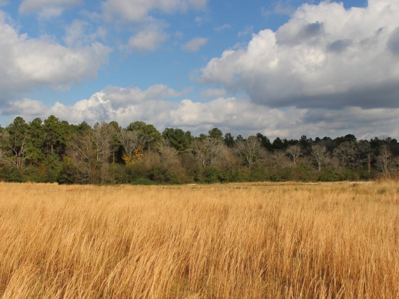 Porter Farm : Montgomery : Montgomery County : Texas