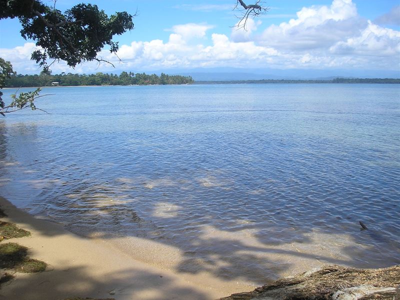 Beautiful Coastal Beachfront Bocas : Panama