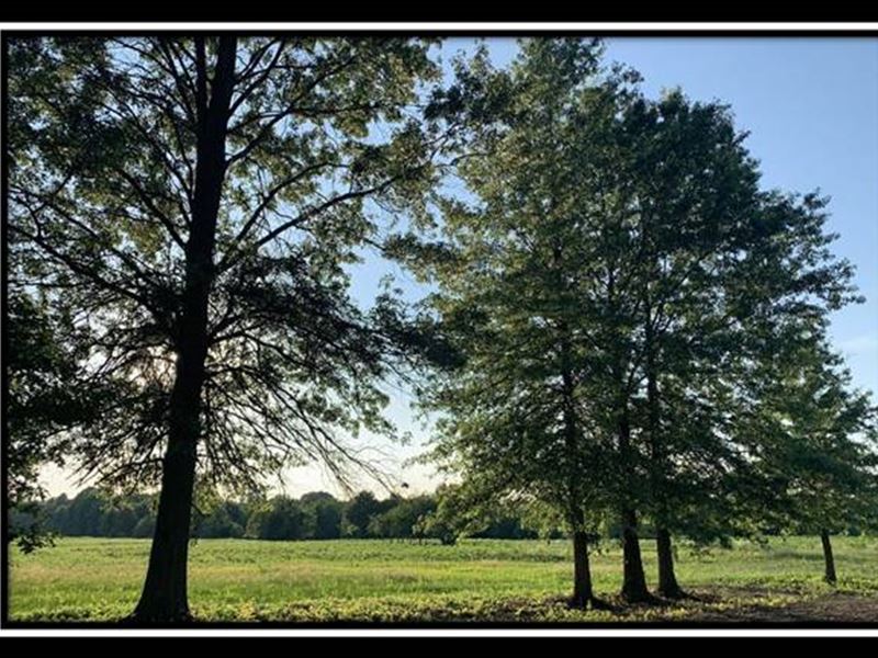 Beautiful Estate Home Site : Sunbury : Delaware County : Ohio