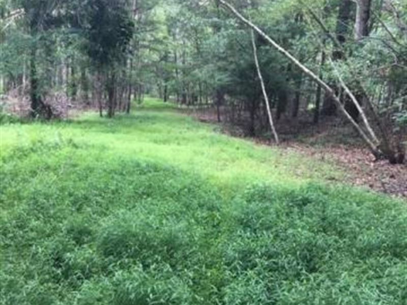 59+/- Acres Land in Bloomsburg : Bloomsburg : Columbia County : Pennsylvania