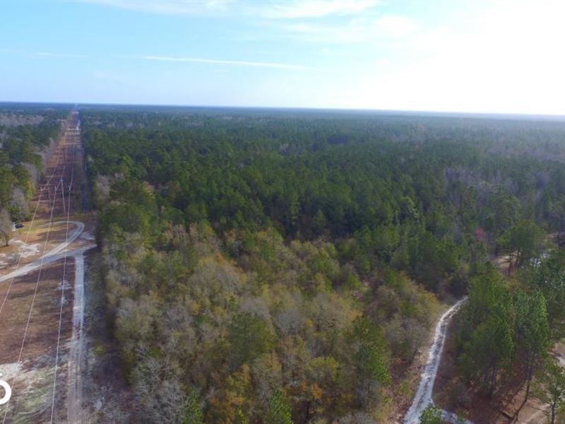 Shaw Highway 57 Acres : Rocky Point : Pender County : North Carolina
