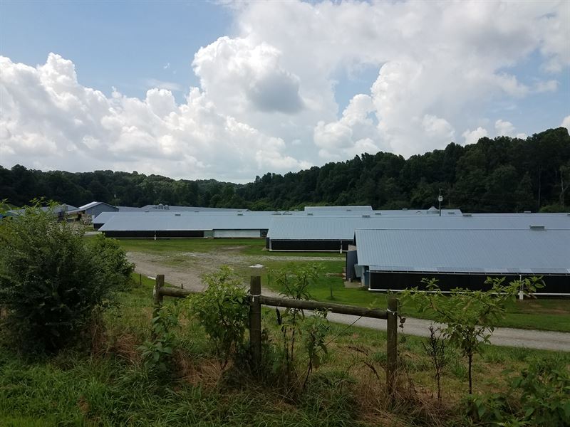 7 House Broiler Poultry Farm, Farm for Sale in 187475 FARMFLIP