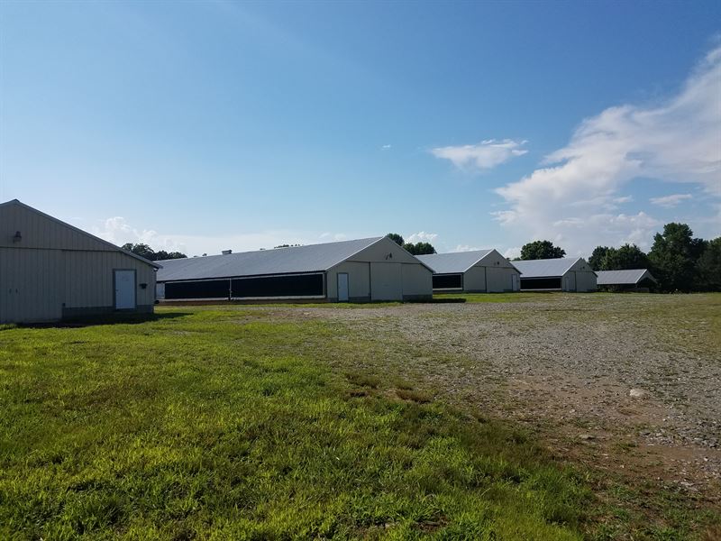 poultry farm for sale in georgia poultry farm for sale in georgia
