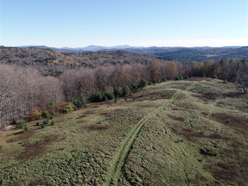 Phelps Road Forest, Farm for Sale in Vermont, 187499 FARMFLIP