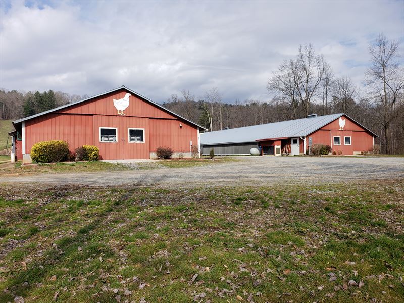 2 House Breeder Poultry Farm : Ellijay : Gilmer County : Georgia