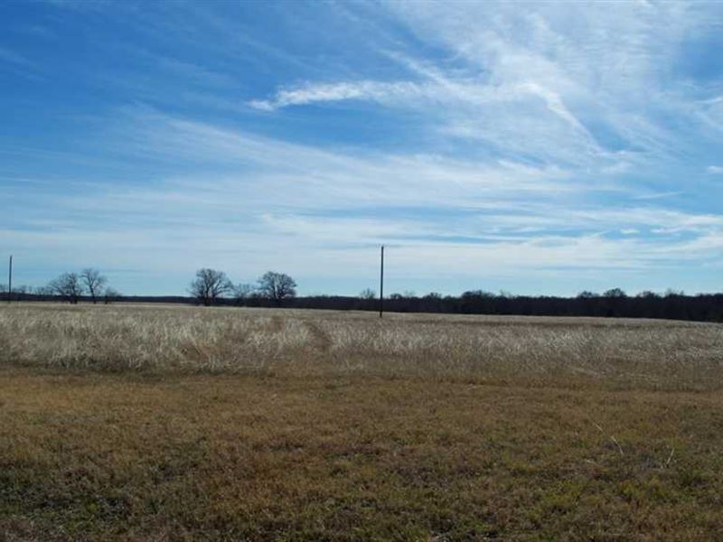 Cooke County Land for Sale with tw : Gainesville : Cooke County : Texas