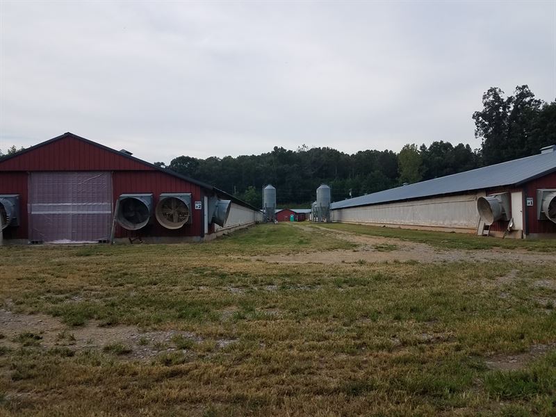 2 House Breeder Poultry Farm, Farm for Sale in 187664 FARMFLIP