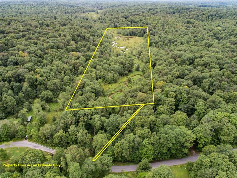 Gilfoyle Rd, Forest County, 16.0 : Marienville : Forest County : Pennsylvania