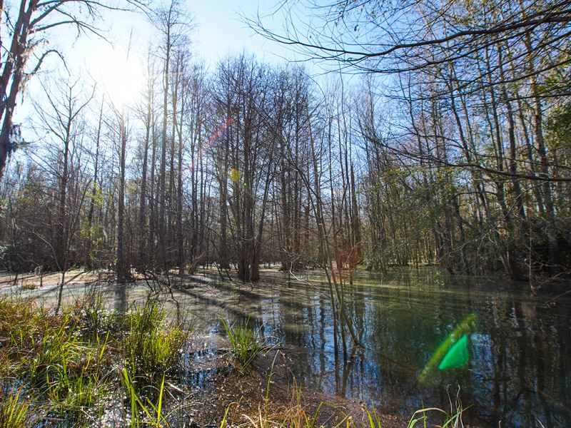 Rogers River Tract : Millen : Jenkins County : Georgia