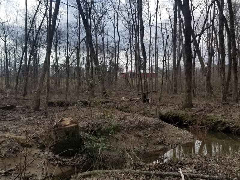 22.65+/ Acres Unrestricted, Creek Farm for Sale in Tracy City