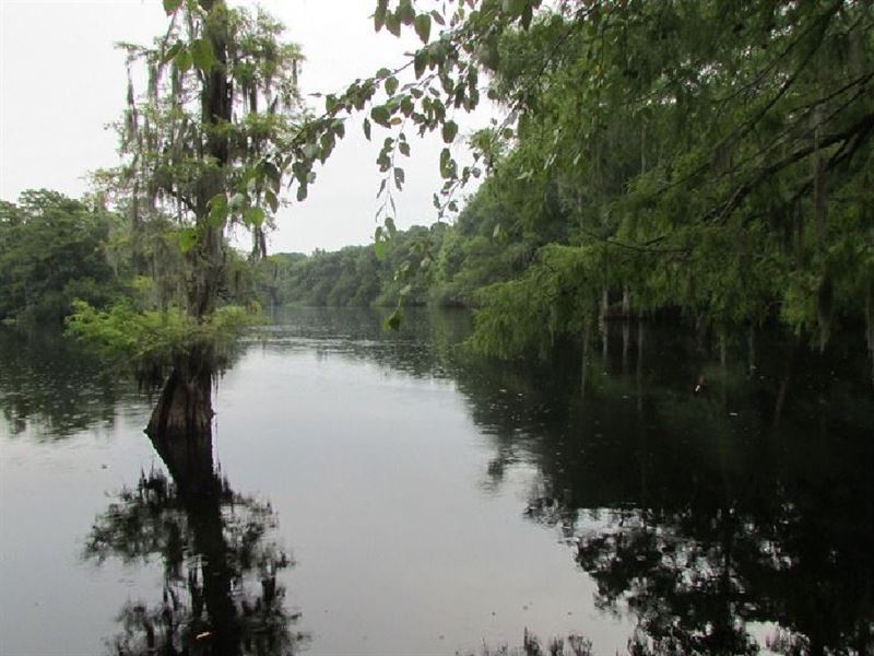 MullinsLittle Pee Dee River Tract, Farm for Sale in South Carolina