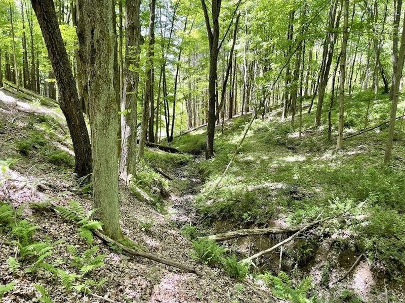 Freeman Rd. Westmoreland County 8 : Ligonier : Westmoreland County : Pennsylvania