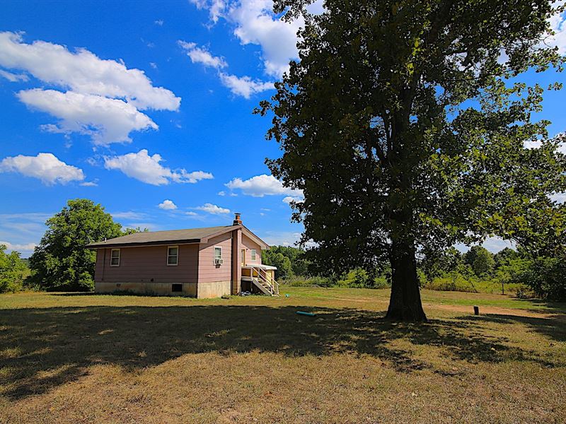 Country Home Koshkonong Missouri, Farm for Sale in Missouri, 188127