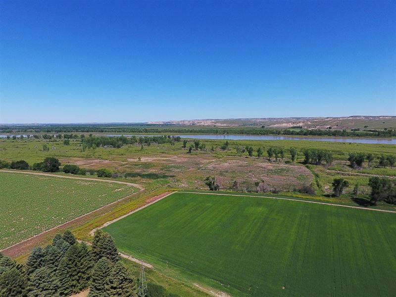 Irrigated Farm Land, Fairview : Fairview : Richland County : Montana