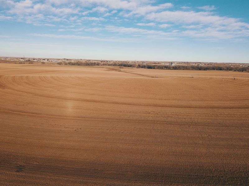 Emerald Sod Farm : Commerce City : Adams County : Colorado