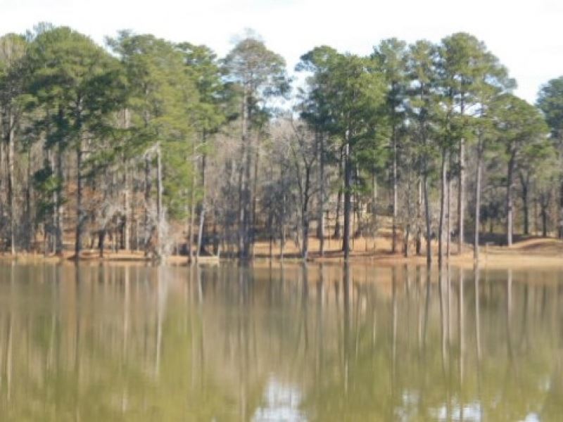 193 Acres In Hinds County In Clinto Farm for Sale in Clinton, Hinds