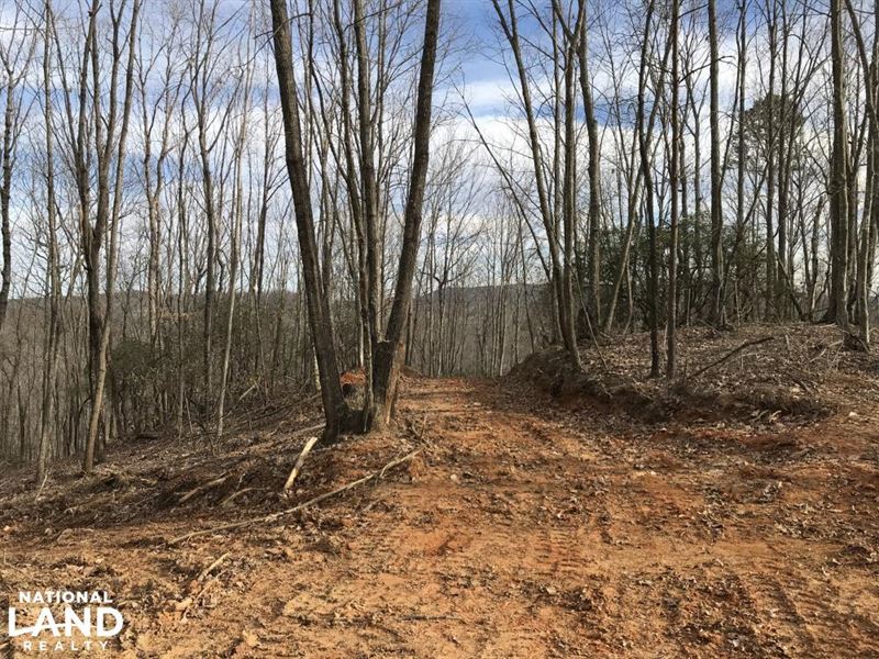 Alexander County Timber And Hunting Farm for Sale in Taylorsville