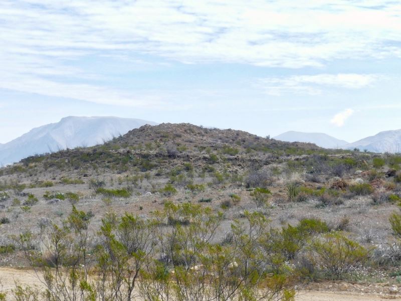 50 Acres in The High Desert : Terlingua : Brewster County : Texas
