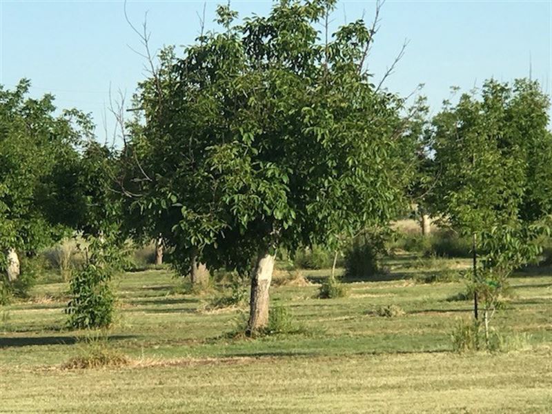 Capay Valley Property, Multiple, Farm for Sale in California, 188361