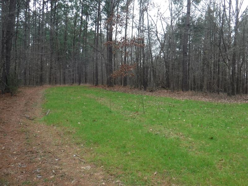 Timber & Hunting Property : Camden : Madison County : Mississippi