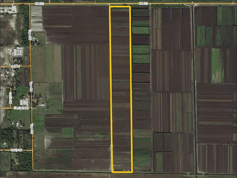 Highlands County Muck Farm, Farm for Sale in Florida, 188391 FARMFLIP