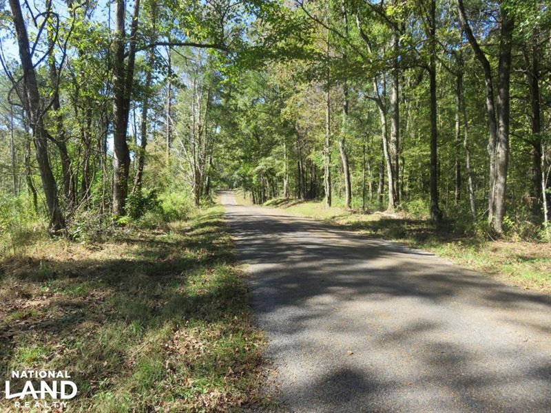 130 Acre Hunting Tract : Utica : Hinds County : Mississippi