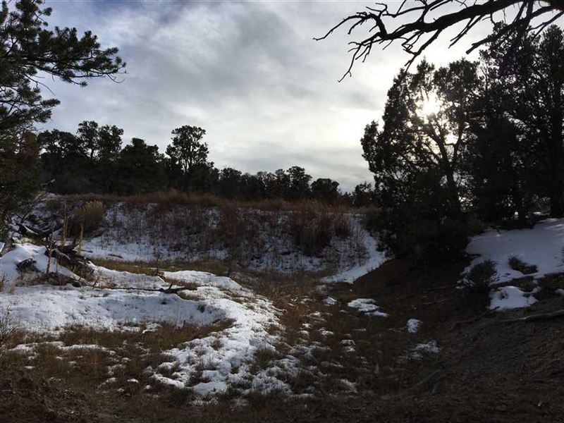 The Ranches at Elk Reserve Lot 22 : Glade Park : Mesa County : Colorado