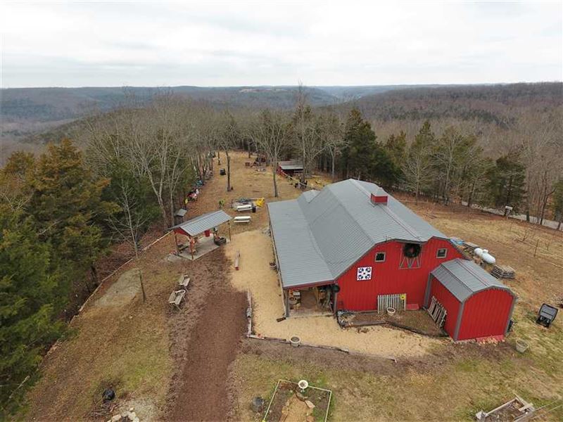 Bear Creek Farms, Apple Orchard, Farm for Sale in Missouri, 188587