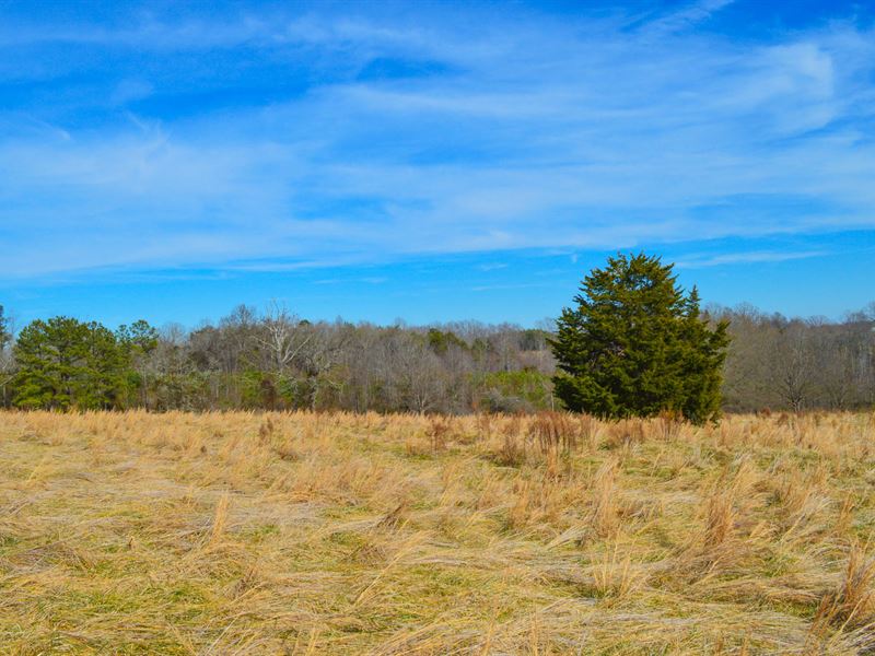 19.2 Acres Near Green Creek Nc, Farm for Sale in North Carolina
