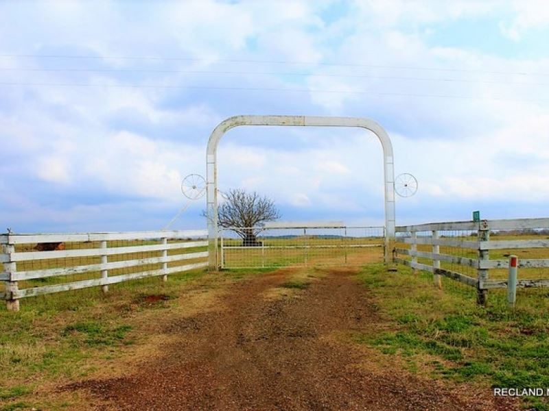 256 Ac, Working Cattle Ranch, Pri : Milam : Sabine County : Texas